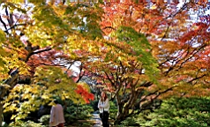 IMG_7754.JPG
