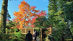 IMG_7764.JPG