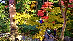 IMG_7799.jpg