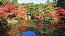 IMG_7832.JPG
