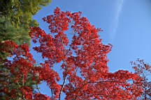 IMG_7842.jpg