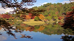 IMG_7873.jpg