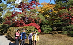 IMG_7887.JPG