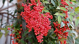 IMG_7890.JPG