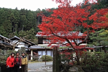 IMG_7901.JPG