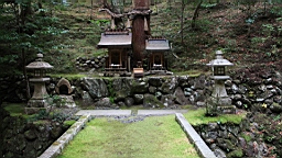 IMG_7941.JPG