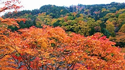 IMG_7943.JPG