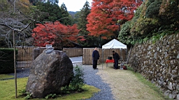 IMG_7986.JPG