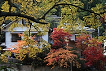 IMG_7990.JPG