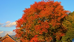 IMG_8045.JPG