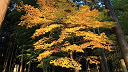 IMG_8073.JPG