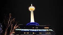 IMG_8134.JPG