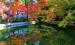 IMG_8187.JPG