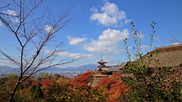 IMG_8213.jpg