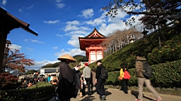 IMG_8342.JPG
