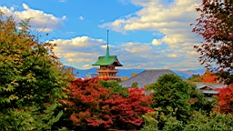 IMG_8367.JPG