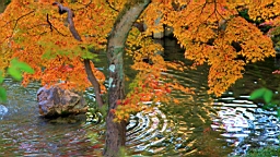 IMG_8418.JPG