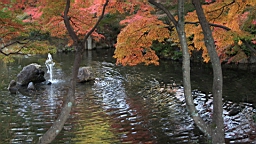 IMG_8419.JPG