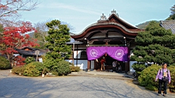 IMG_8528.JPG