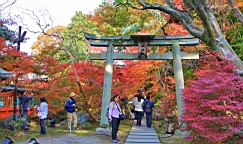 IMG_8531.JPG