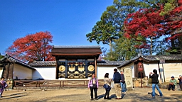 IMG_8575.JPG
