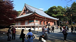 IMG_8580.JPG