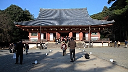 IMG_8581.JPG