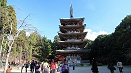 IMG_8582.JPG