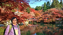 IMG_8638.jpg