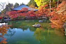 IMG_8662.jpg