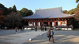IMG_8675.JPG