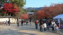 IMG_8679.JPG