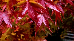 DSC00759.JPG