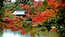 DSC00792.JPG