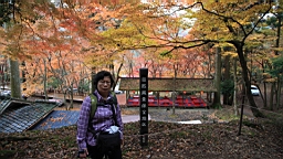 IMG_8722.JPG