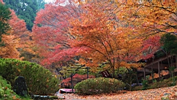 IMG_8764.JPG