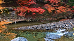IMG_8769.JPG