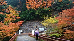 IMG_8772.JPG
