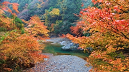 IMG_8774.JPG