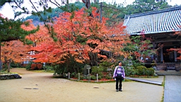 IMG_8783.JPG