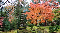 IMG_8788.JPG