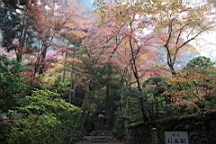 IMG_8807.JPG