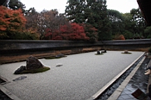 IMG_8853.JPG