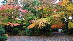IMG_8871.JPG