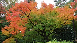 IMG_8880.JPG