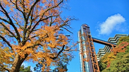 IMG_8904.JPG