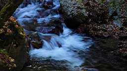 IMG_8907.JPG