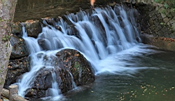 IMG_8920.JPG