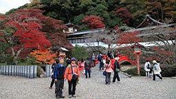 IMG_8929.JPG
