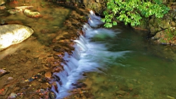 IMG_9006.JPG
